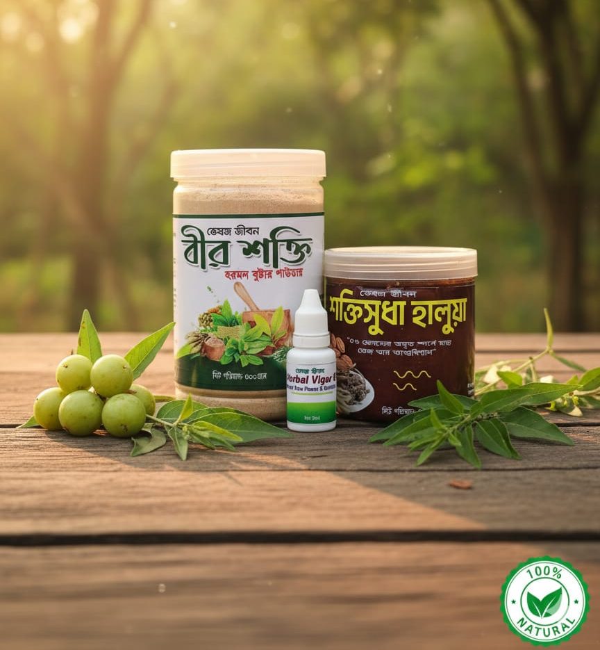 WhatsApp Image 2025-12-26 at 3.44.24 PM